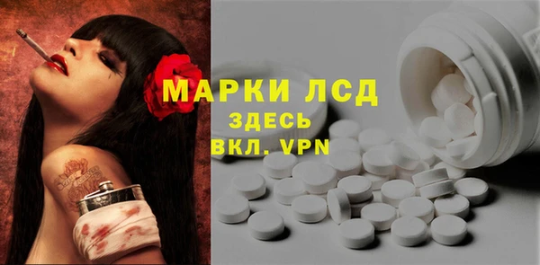 ГАЛЛЮЦИНОГЕННЫЕ ГРИБЫ Беломорск