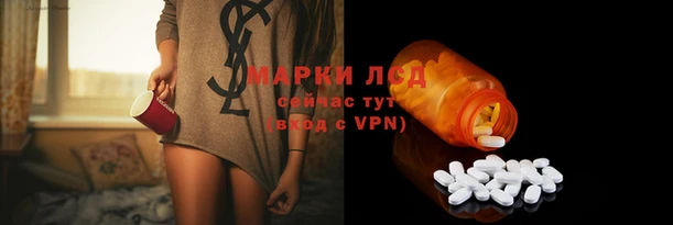 ГАЛЛЮЦИНОГЕННЫЕ ГРИБЫ Беломорск