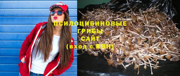 мет Нязепетровск