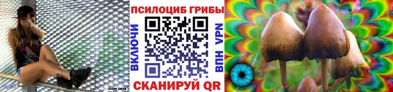 Галлюциногенные грибы прущие грибы  Белокуриха 